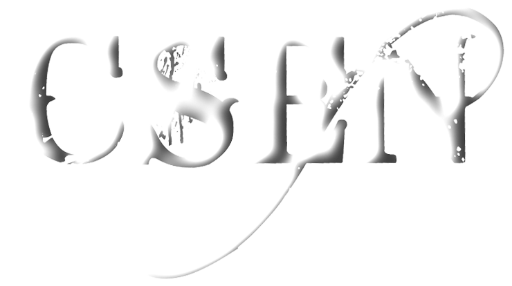 NETWORK GENESIS 